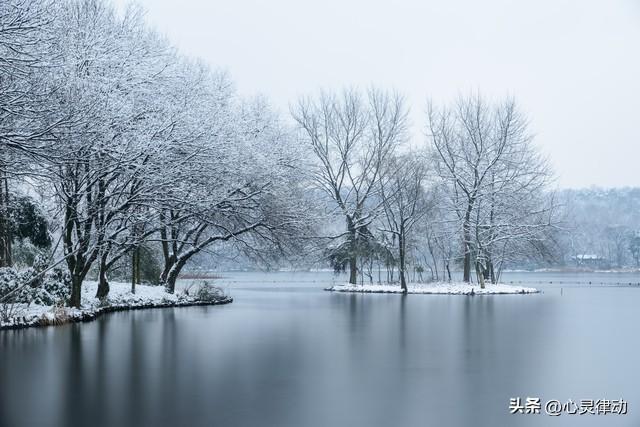 “白露在头，三九穿单衣；白露在尾，三九冻死牛”,今年白露在哪?