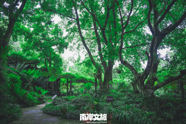 逃离35℃+！在南岸畅享24小时的清凉慢时光
