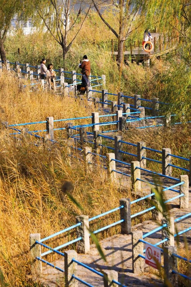 每天早上人气爆棚！就在日照这里！