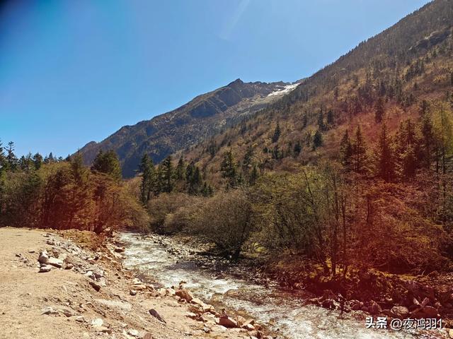 理小路环线今日风景！
