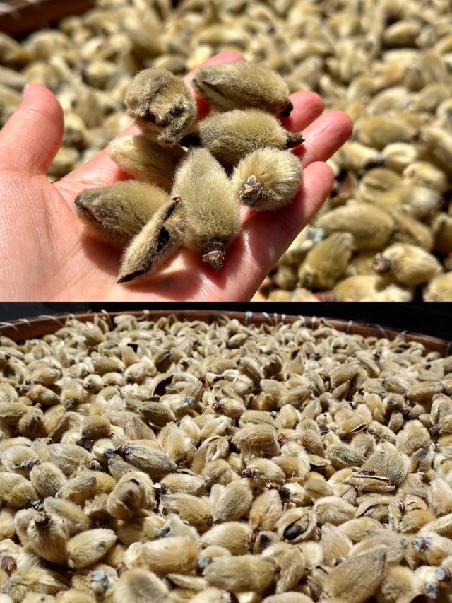 秦岭深处这座陕西小城！比西安还安逸，90%人没去过，低调到离谱
