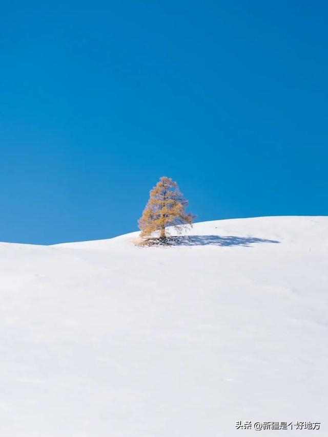 去小红书点名的新疆粉雪童话世界，短逃离~