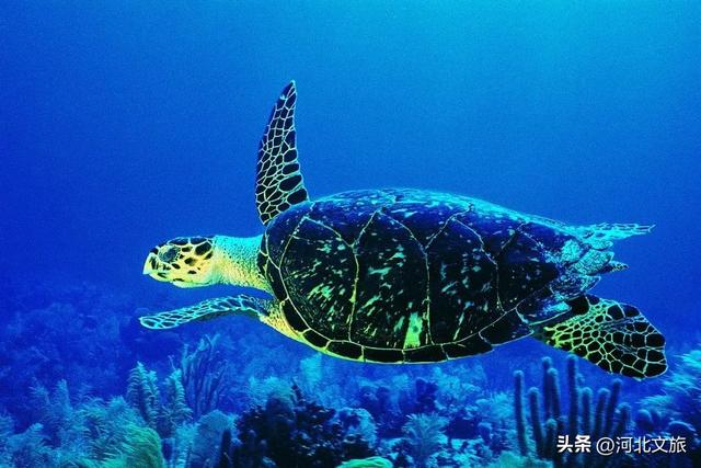 秋意正浓！是时候来石家庄平山开启一场秋日徒步了