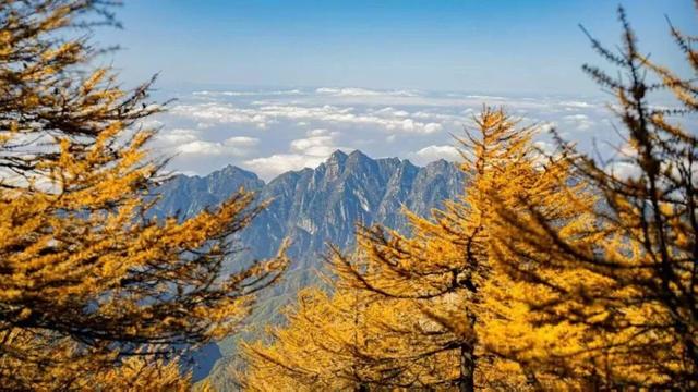 秋天的关中八景，每一帧都治愈