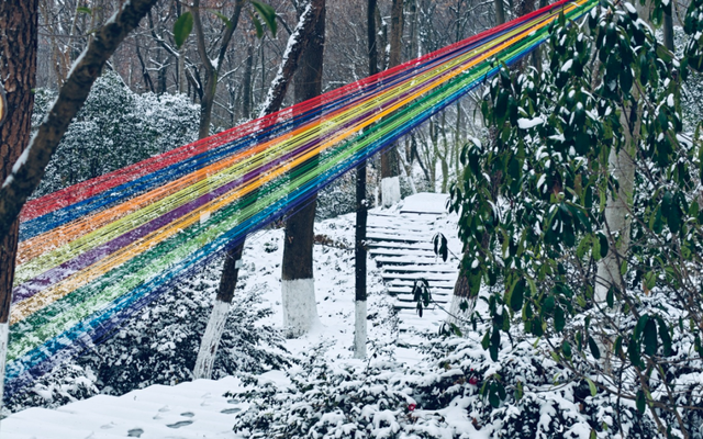 大寒雪落，我们陪你“慢下来”