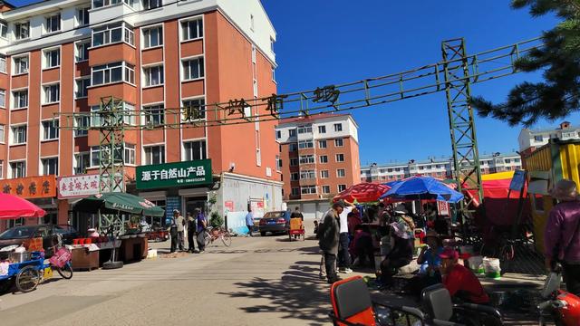 床车游记(黑龙江省大兴安岭地区加格达奇区)