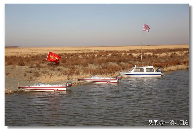 深秋时节，走进长春农安的波罗湖湿地