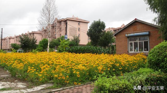 东方红，我拿什么来爱你（上） “东方红”名字的起源