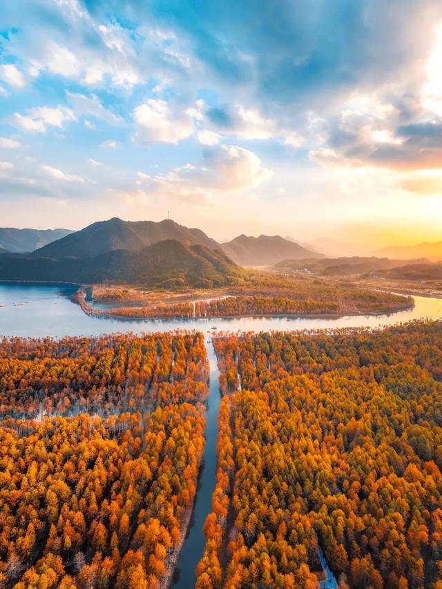 秋染徽州:一场穿越千年的色彩盛宴