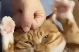 因为少给了2块6代驾费，一座城的KTV被查？图片