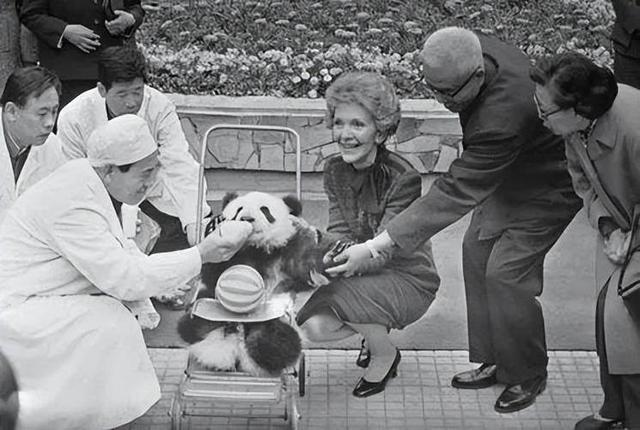 最后两只熊猫打包回国，高市早苗一句狂言，换300亿日元天价账单