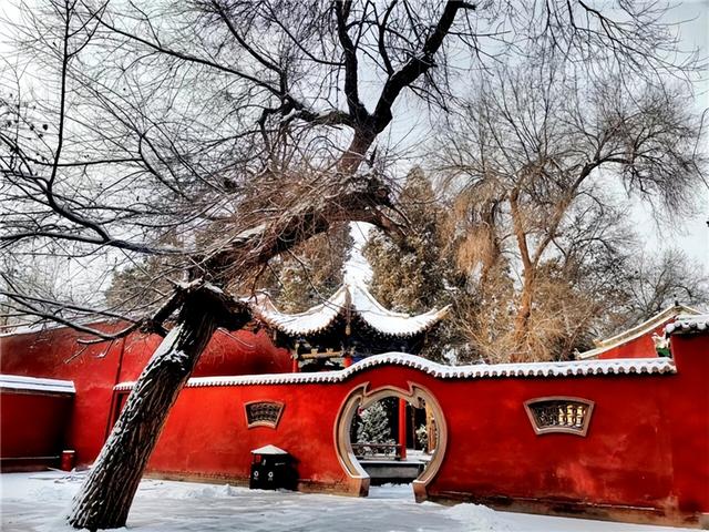 【联动宣传】是什么，让你这么想念武威？