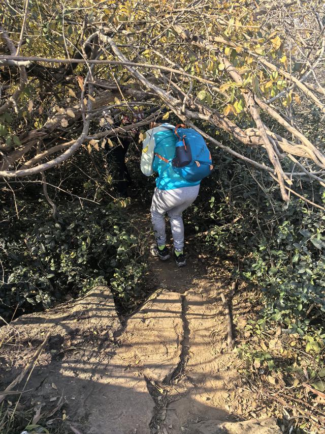 南京第二次到镇江武岐山空青山郊野徒步