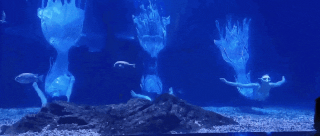 汇川第二届酱香咖啡生活文化周，不容错过的精彩！