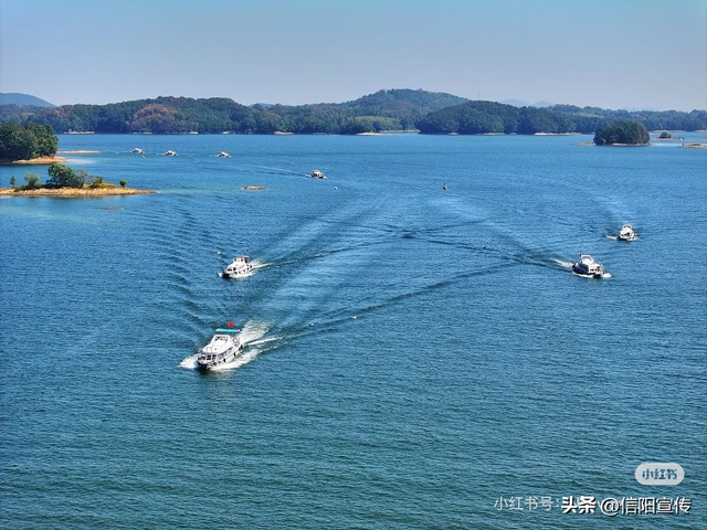 辞家千里，最念是信阳