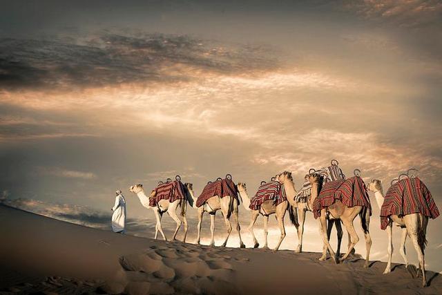 从骆驼商队到二维码，中国退税提速40%，购物热潮再掀新篇