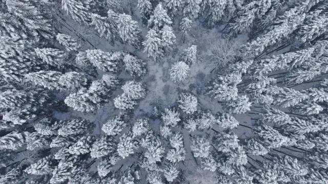 雪落恩施，大峡谷与坪坝营开启仙境模式！