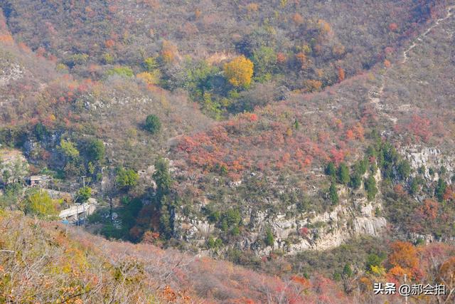 焦作窄门的深秋色彩！走五彩步道，赏太行红叶
