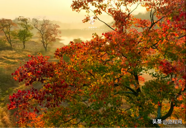 首届大别山红色旅游自驾集结赛在大悟圆满收官