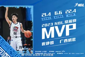NBL男子篮球广西威壮男篮球员一览表图片