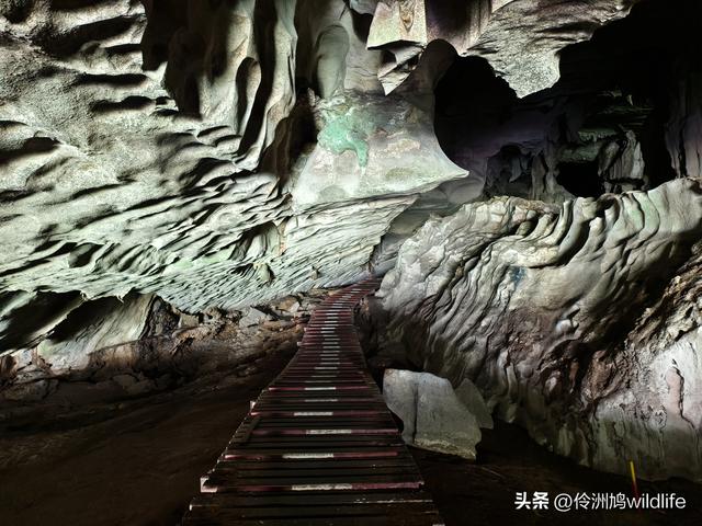 马来西亚(32)砂拉越州⑥世界遗产尼亚洞窟探险