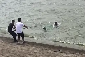 搞笑！云南一男子为抓大鱼掉水里去了，网友：不要命，也得要鱼图片