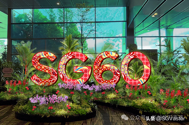 SG60樟宜机场限定、绝美花展灯光秀超20项新加坡国庆活动嗨翻全岛