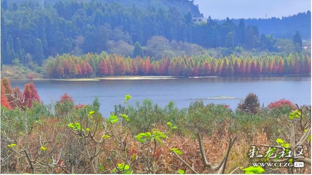 山水入画秋意来