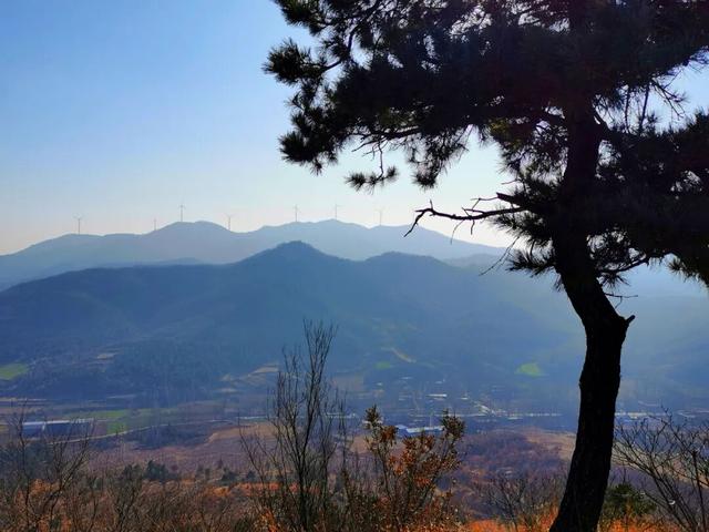 天中盆景！泌阳小黄山的奇石与原生态美景