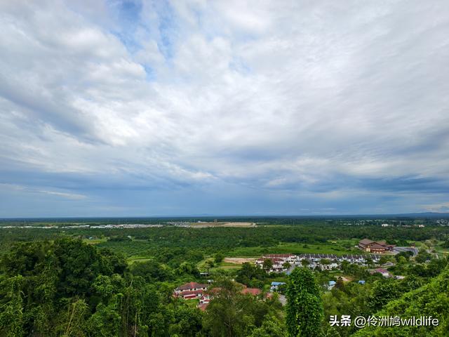 马来西亚(33)砂拉越州⑦美里市加拿大山、海滨公园等