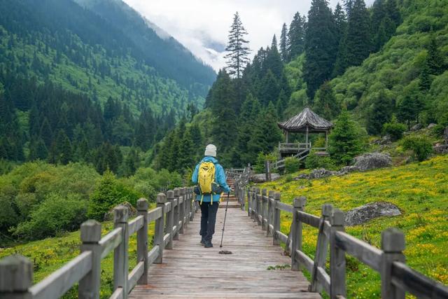 夏末初秋｜达古之绿是四季写给山河的散文诗