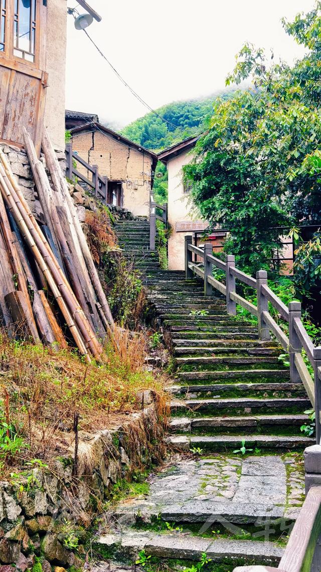皖浙摩旅二人转——松阳横坑村篇（下）
