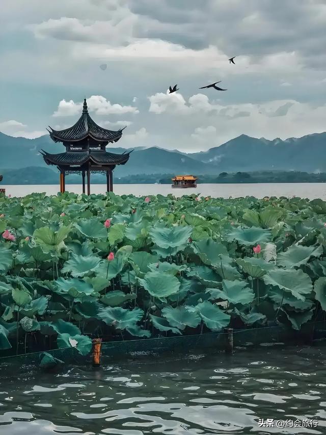 奇了怪了！为什么有人喜欢拿武汉东湖与杭州西湖来进行比较？