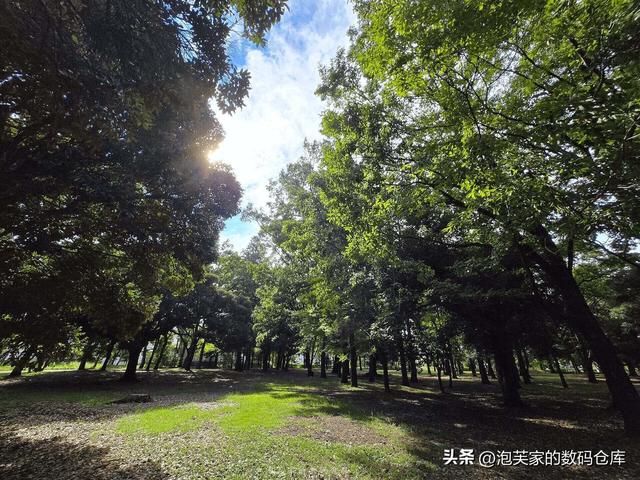 非凡价格 非凡体验 华为Mate XT体验 2万块和Z Fold6打的有来有回