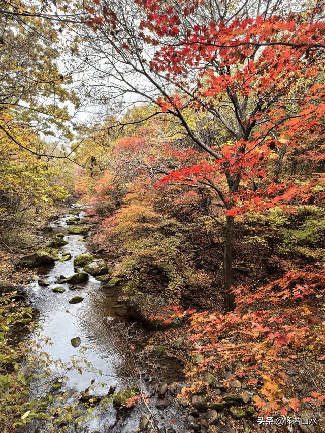 2025辽宁赏秋之旅日记(3)——游览洋湖沟和老边沟