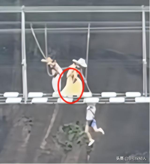 惊险！男童踩空玻璃栈道，身体悬挂空中，路人营救被骂，景区回应