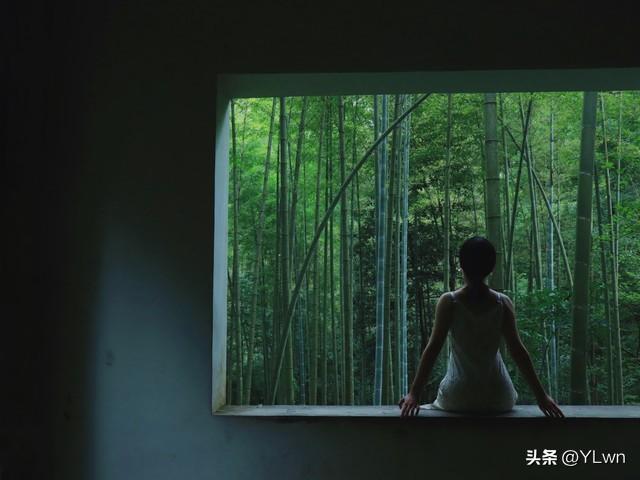 新西湖十景之一云栖竹径攻略