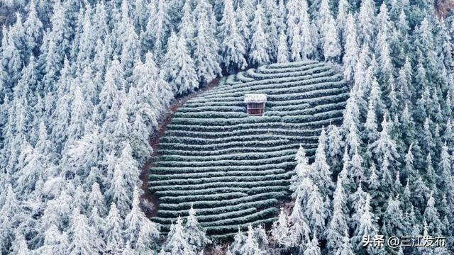 寒潮“炫技”成功！三江这地方浪漫值拉满