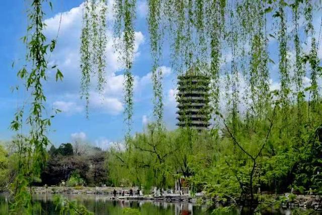 北大学子镜头中的燕园美景
