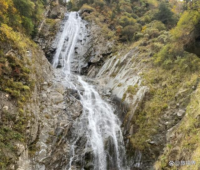 四姑娘山长坪沟徒步全攻略，47000步走到木骡子，附避坑指南