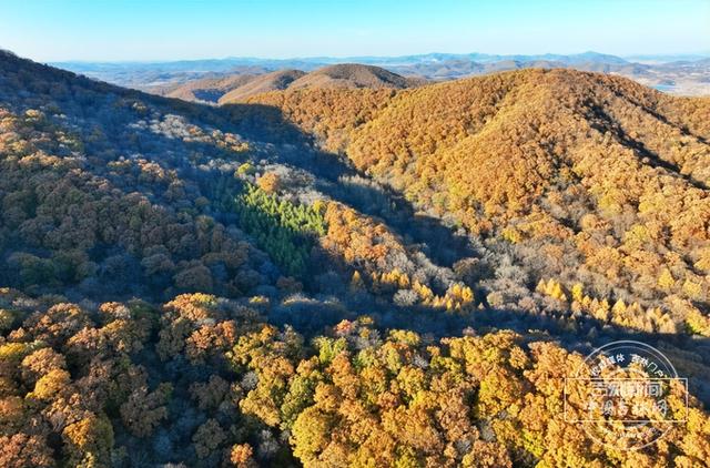 沿G334穿行吉林，触摸东北抗联的“红色血脉”