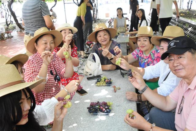 葡萄树下话振兴 第39届中国·大泽山葡萄节“行走的新闻发布会”在山东平度举办