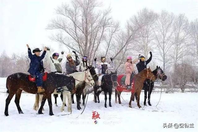 香港游客扎堆阿勒泰：不滑雪不打卡不住冰雪民宿，他们到底想干啥