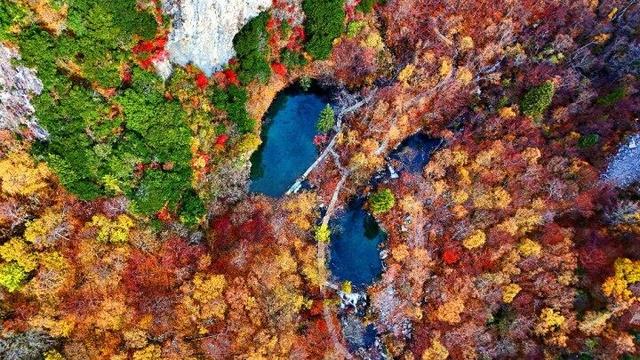 四川这个地方的初冬，是彩色的！