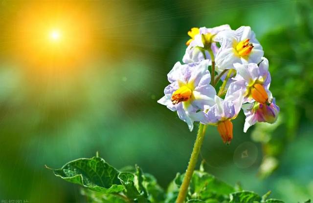 别让才艺班吞噬童年！这2个根基才是孩子一生的铠甲