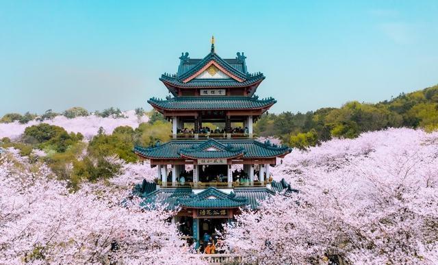 比日本浪漫，比韩国绚烂，国内这10个最美的赏樱地，你去过几个？