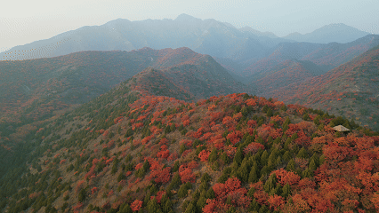 别白跑！舞彩浅山11月24日起闭园