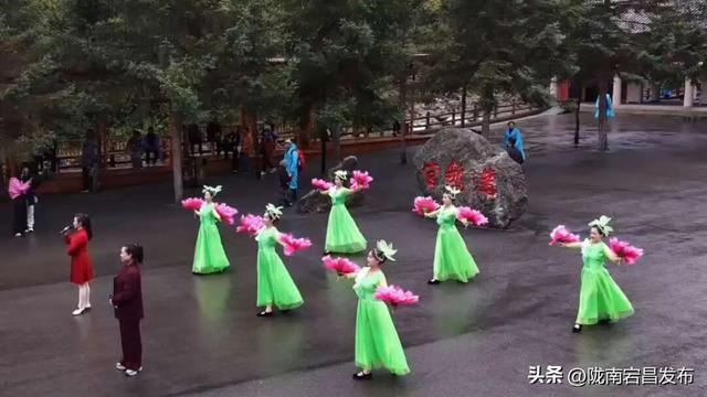 烟雨官鹅：国庆里的一轴流动水墨