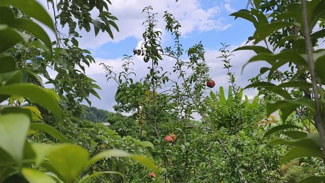 摩旅夫妻的在路上：从晴空万里到暴雨倾盆，我们在山水间读懂彼此