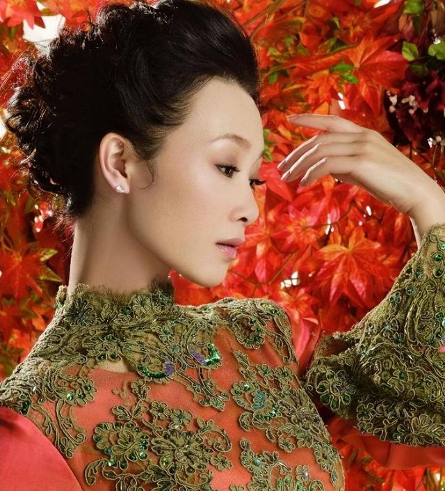 宋祖英近照不是因美人迟暮是她眼里没了曾经的甜与纯。